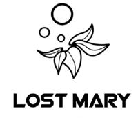 Lost Mary