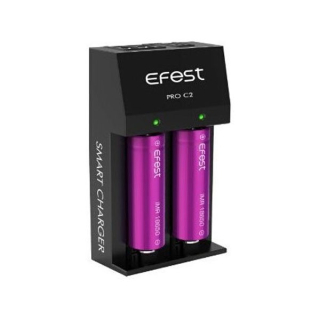 Nabíječka pro akumulátory eFest Pro C2