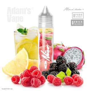 Příchuť Adam´s Vape Shake and Vape 10ml Něco CHLADIVÝHO